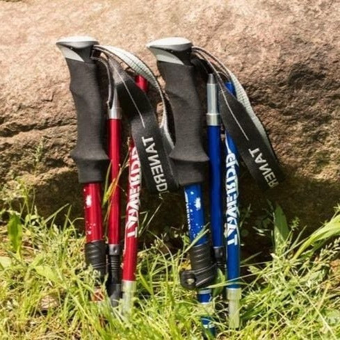 adjustable-trekking-poles-foldable-telescopic-pole-41191039_3.jpg